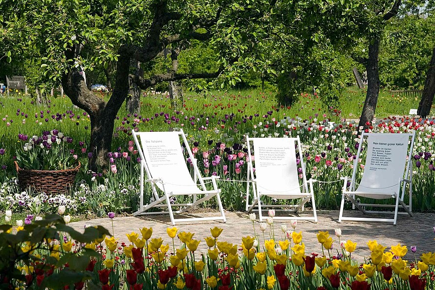 In einem Park stehen drei Liegestühle. Sie sind umgeben von blühenden Tulpen, im Hintergrund stehen Bäume. 