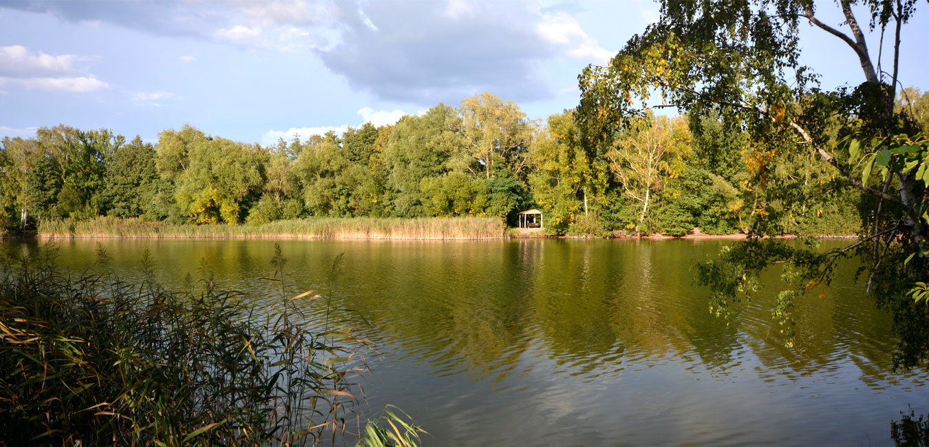 Bild zeigt Falkenhagener See.