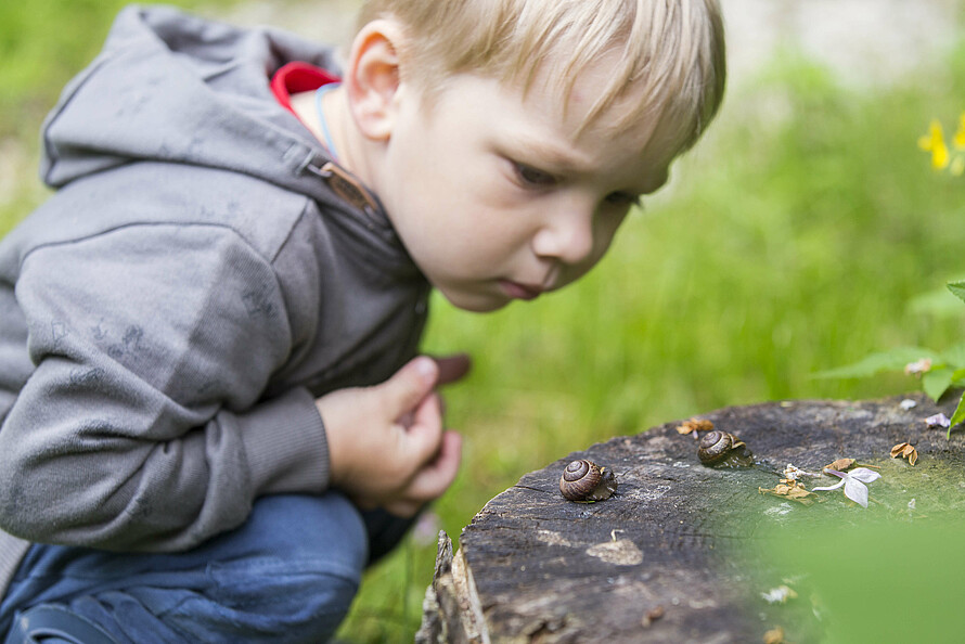 Ein kleiner Junge hockt vor einem Baumstumpf und beobachtet interessiert eine Schnecke