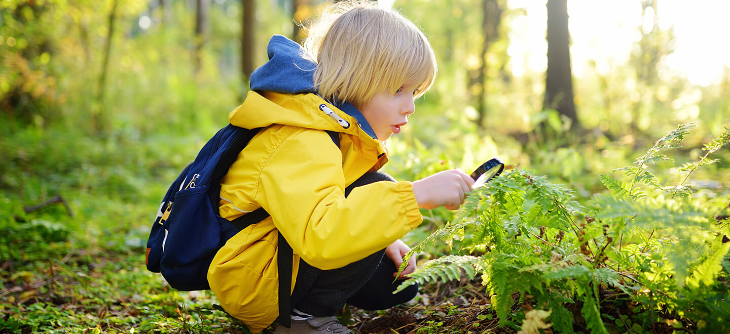 Ein Kind, mit einer gelben Jacke bekleidet, hockt im Wald und betrachtet Pflanzendetails durch eine Lupe.