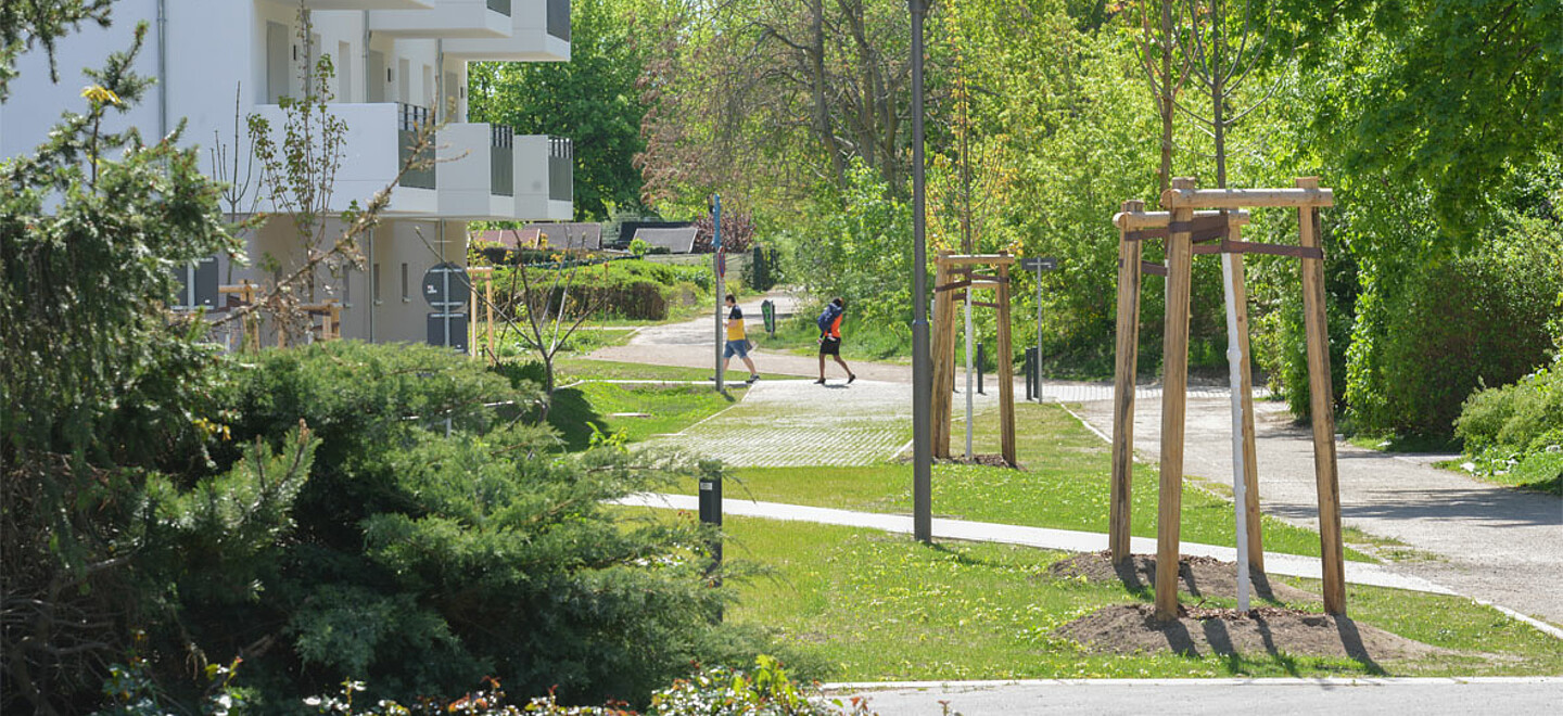 Häuser und Fußweg werden von grüner Wiese und mehreren kleinen Bäumen umsäumt.