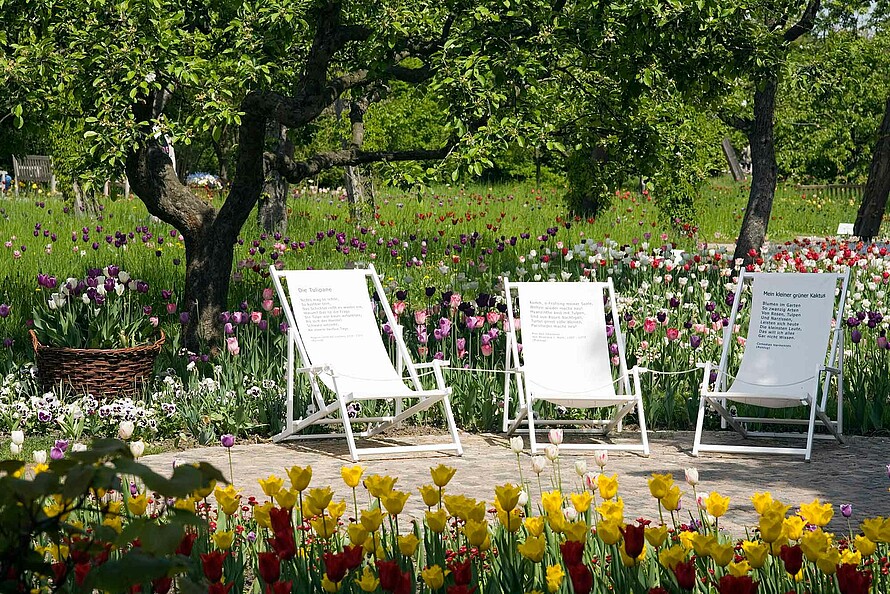 In einem Park stehen drei Liegestühle. Sie sind umgeben von blühenden Tulpen, im Hintergrund stehen Bäume.