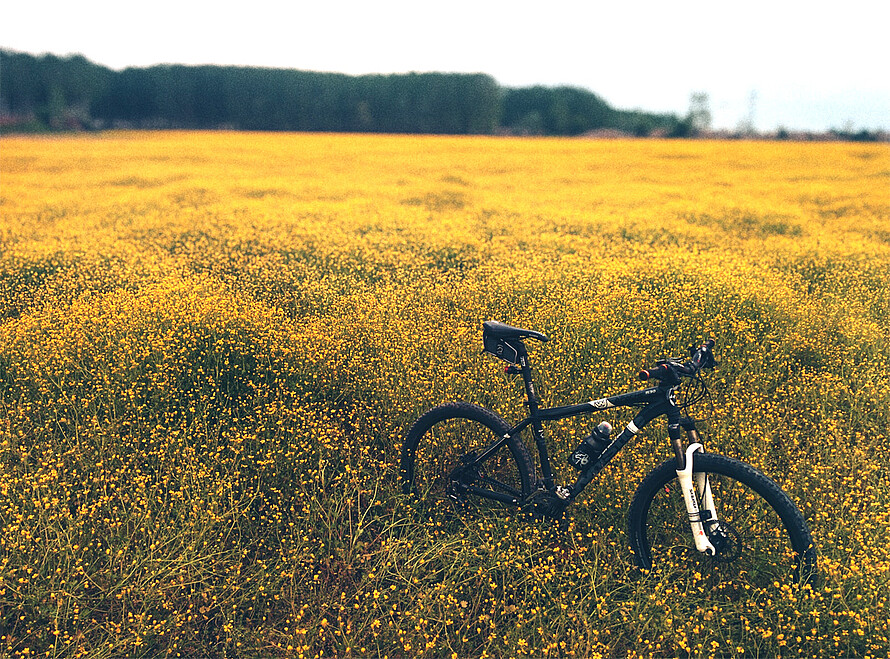 Mountainbike inmitten einer Blumenwiese