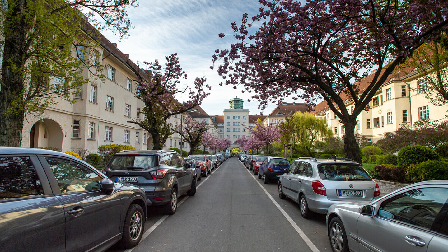 Straße in den Ceciliengärten.