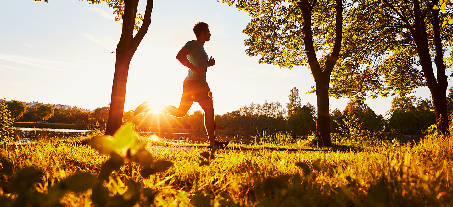 Ein Jogger läuft im Sonnenuntergang durch eine Parkanlage. Der Weg ist gesäumt von Bäumen.  