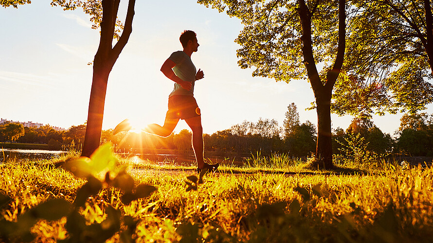 Ein Jogger läuft im Sonnenuntergang durch eine Parkanlage. Der Weg ist gesäumt von Bäumen.  