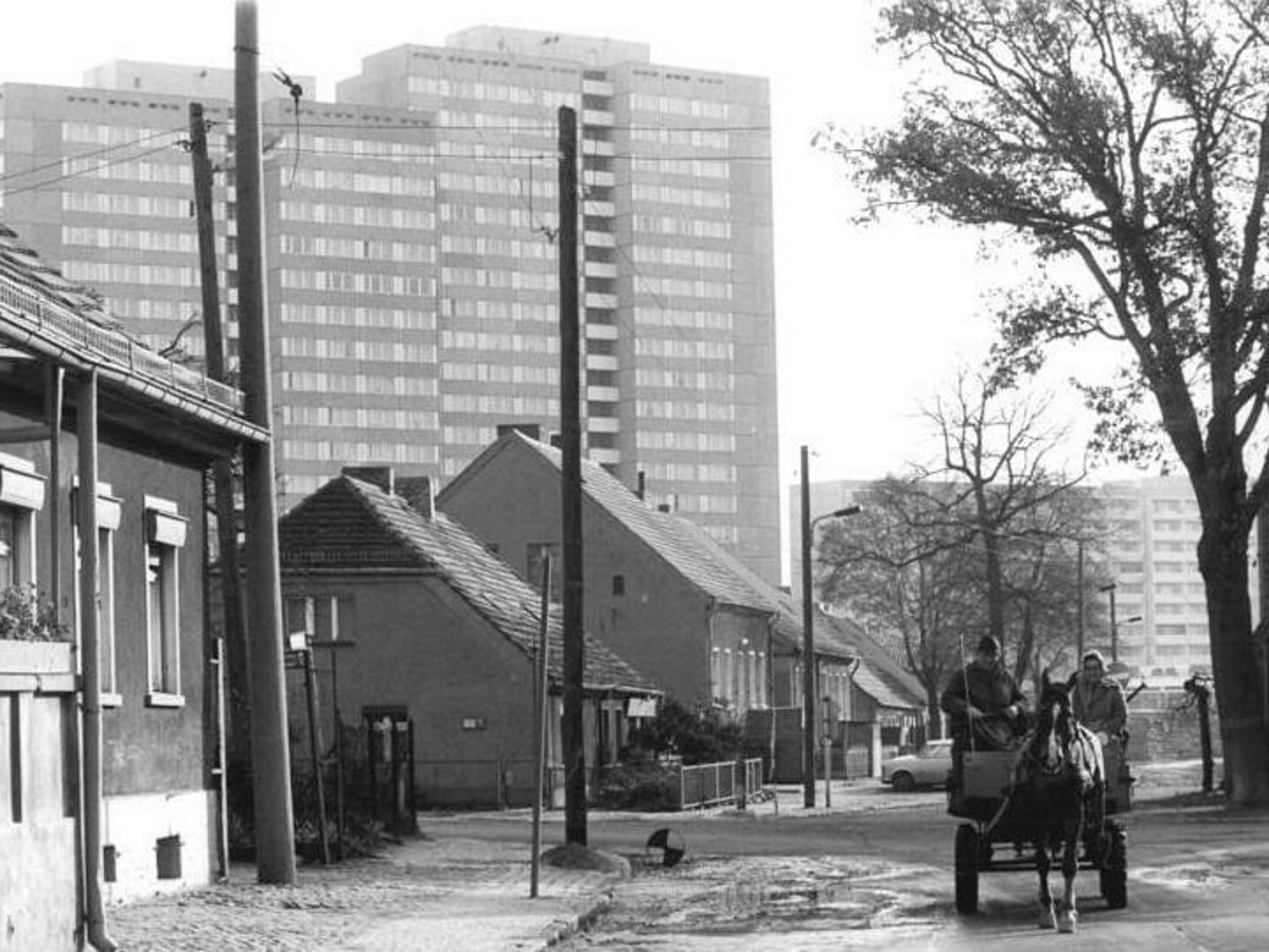 Historisches Bild von Berlin-Marzahn im Winter. Auf einer Pferdekutsche saßen zwei Personen.