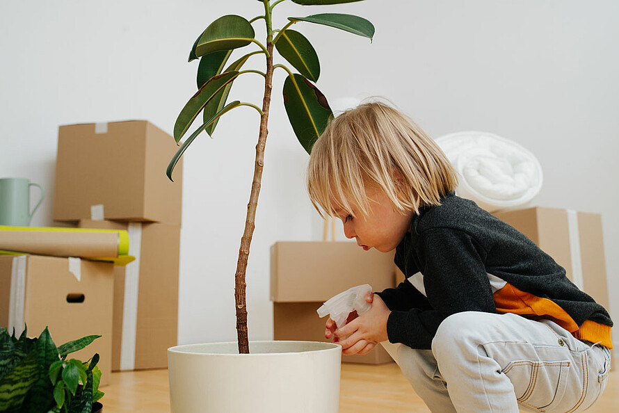 Ein Junge zieht mit seiner Familie um und schaut eine Topfpflanze an