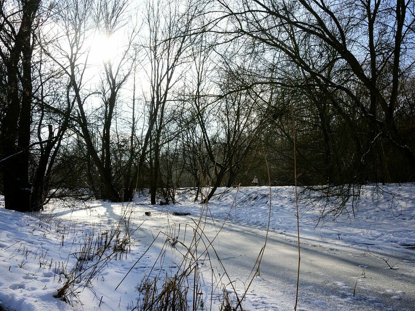 Blick auf einen schneebedeckten Wanderweg mit Bäumen und Gebüsch.