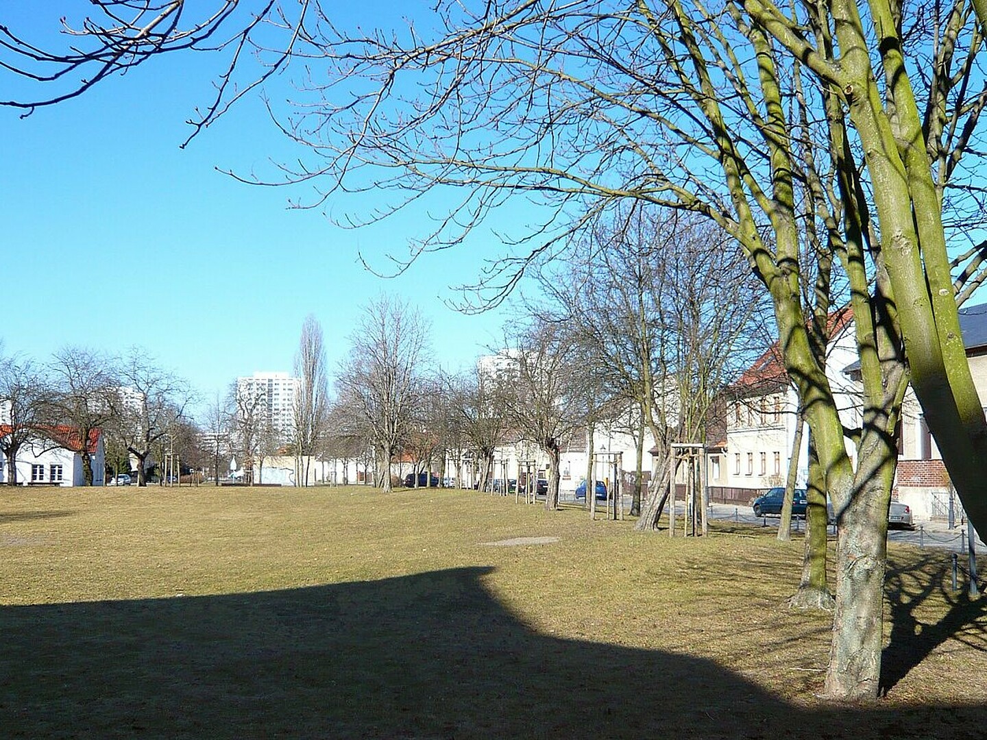 Rasen im Berlin-Marzahn