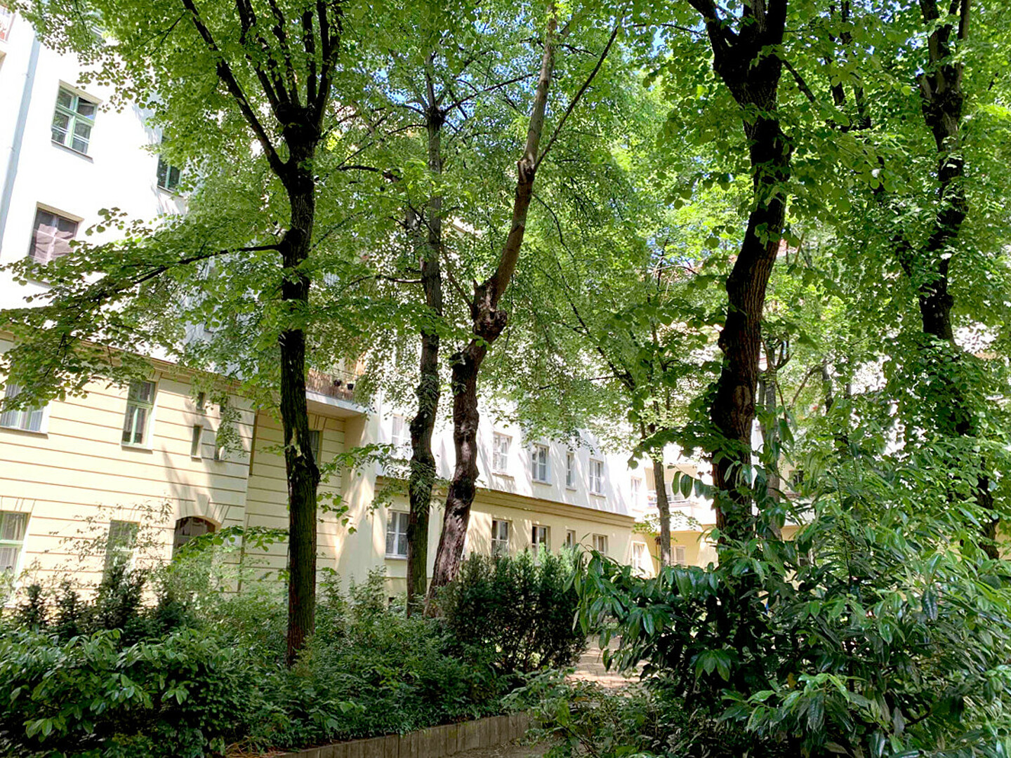 Ein begrünter Innenhof in Berlin-Friedrichshain