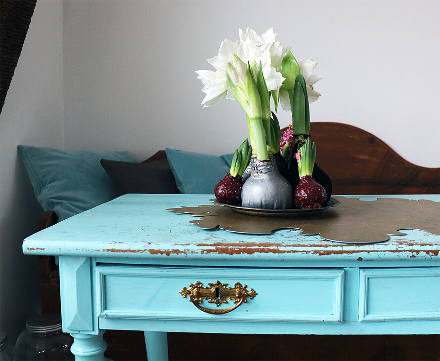 Zwiebelblumen auf einem hellblauen Holztisch