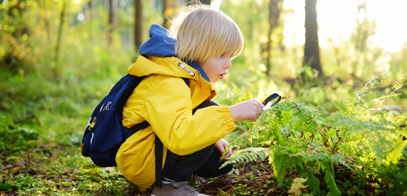 Ein Kind, mit einer gelben Jacke bekleidet, hockt im Wald und betrachtet Pflanzendetails durch eine Lupe.