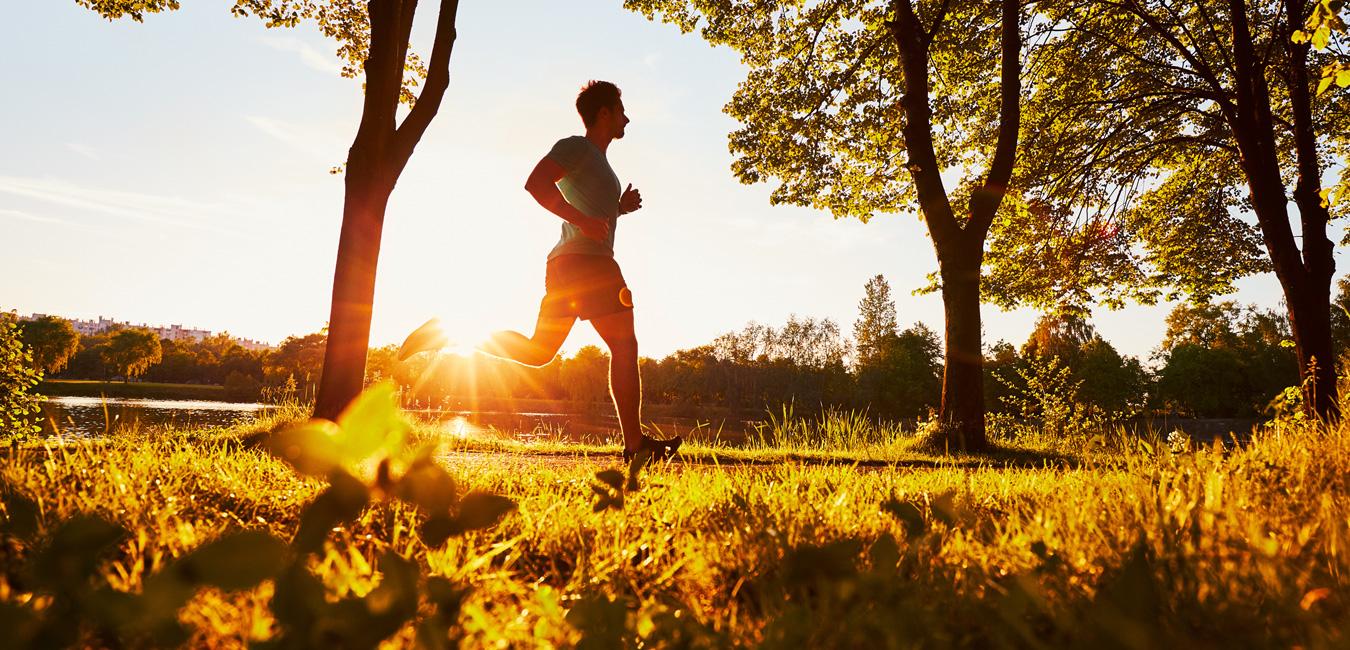 Ein Jogger läuft im Sonnenuntergang durch eine Parkanlage. Der Weg ist gesäumt von Bäumen.  