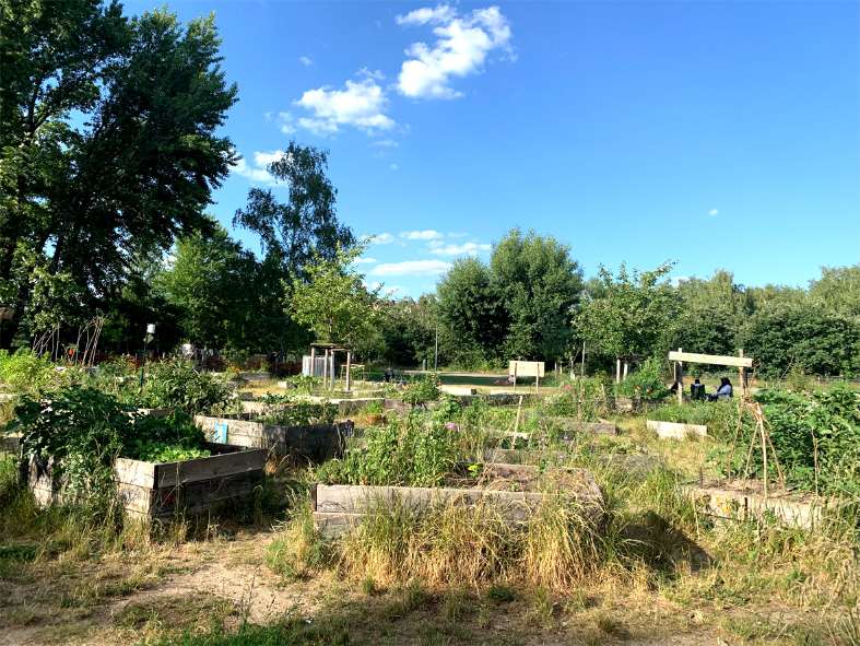 Grüner Garten neben dem Mauerpark