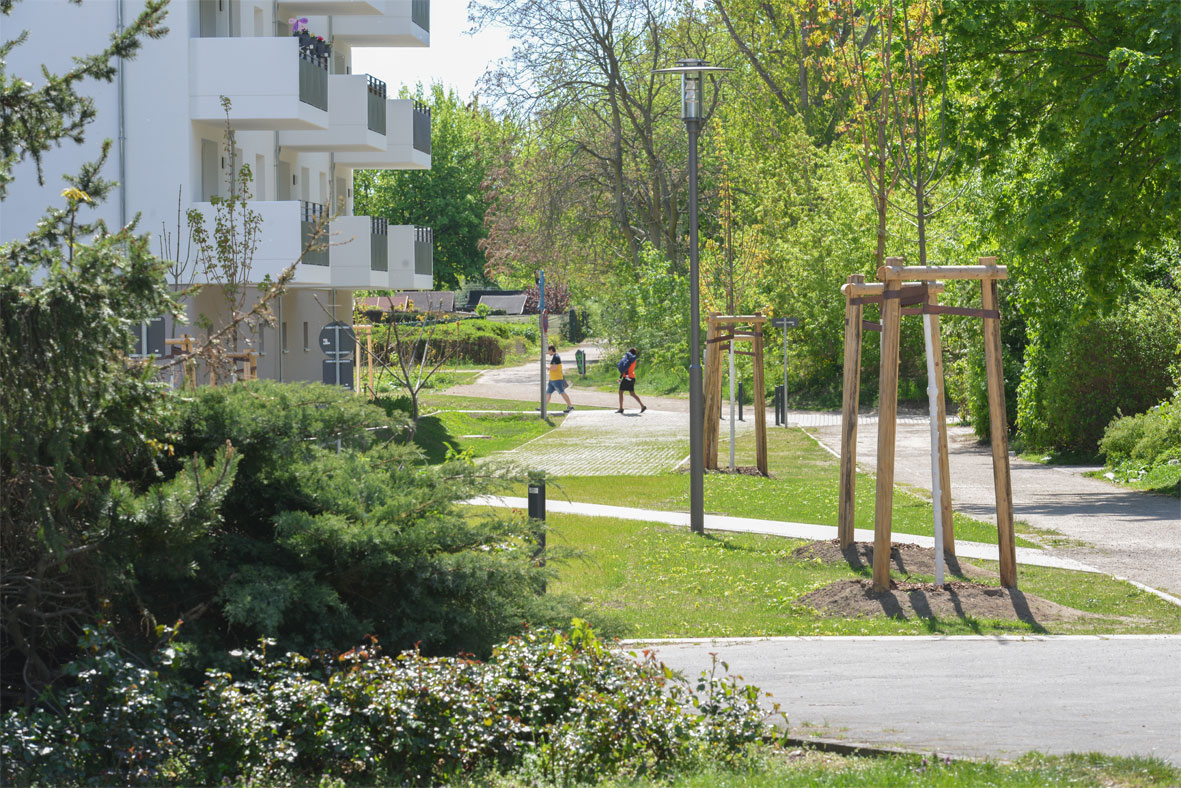 Häuser und Fußweg werden von grüner Wiese und mehreren kleinen Bäumen umsäumt.